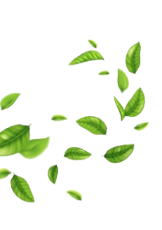 Left Leaf Decoration Image