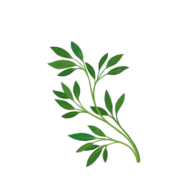 Left Leaf Decoration Image